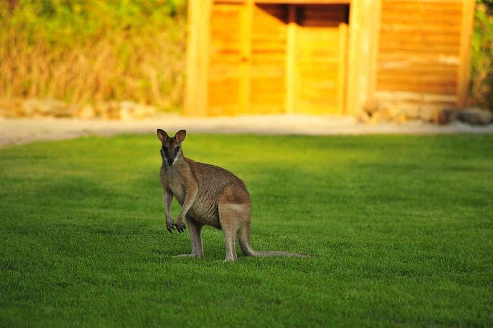 Paradise Bay Eco Escape Long Island Buitenkant foto